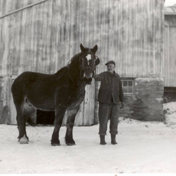 Earl Jones and Work Horse