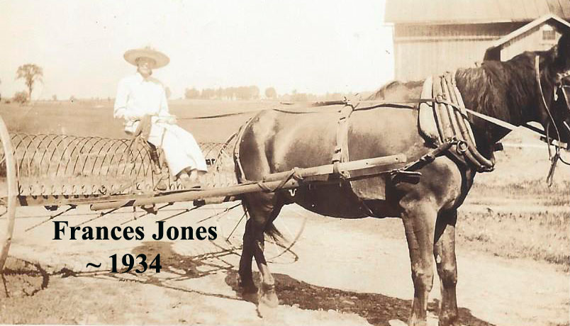 Frances Jones on Hay Rake